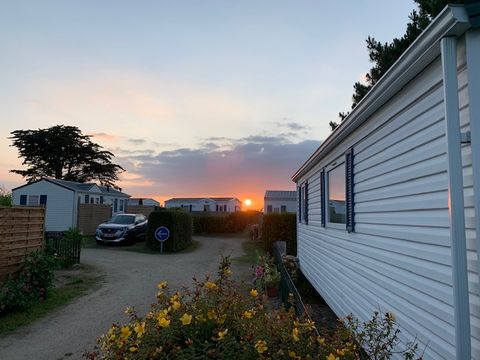 Camping Le Bois d'Amour - Camping Finistère - Image N°20