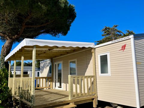 Camping Le Bois d'Amour - Camping Finistere - Image N°33
