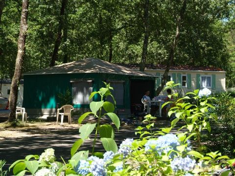 Bungalow toilé 4 personnes - CARAIBES (SANS SANITAIRES)