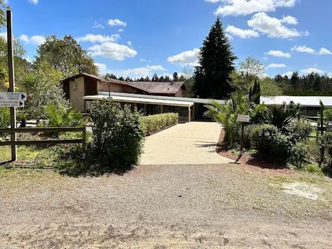 Camping Les Pins du Soleil - Camping Landes - Image N°15