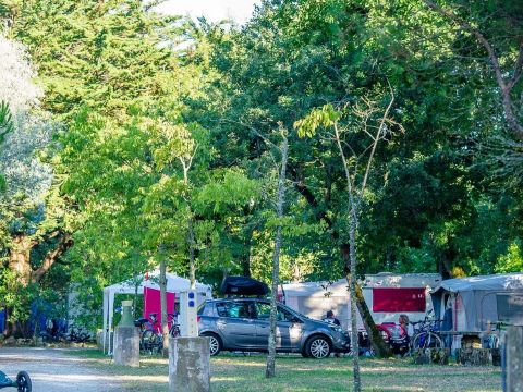 Emplacement - Confort entre 80m2 et 120m2