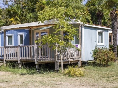 Mobilhome 6 personnes - Mobile-Home AVOCETTE**** 6 personnes