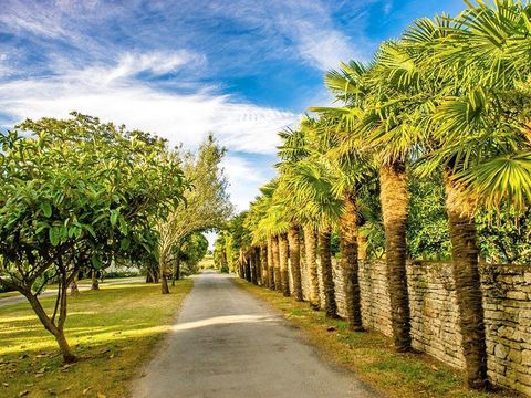 Camping Les Embruns d'Oléron - Camping Charente-Maritime - Image N°21