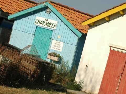 Camping Airotel Oléron  - Camping Charente-Maritime - Image N°55