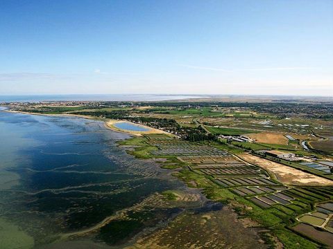 Camping Les Embruns d'Oléron - Camping Charente-Maritime - Image N°23