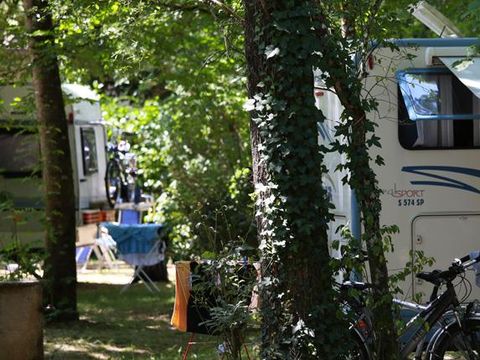 Emplacement - Emplacement Privilège 130m² (1 tente, caravane ou camping-car / 1 voiture / électricité + eau) 1/6 pers