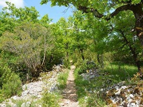 Flower Camping De la Plage - Camping Lot - Image N°61