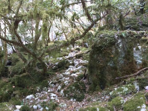 Flower Camping De la Plage - Camping Lot - Image N°76