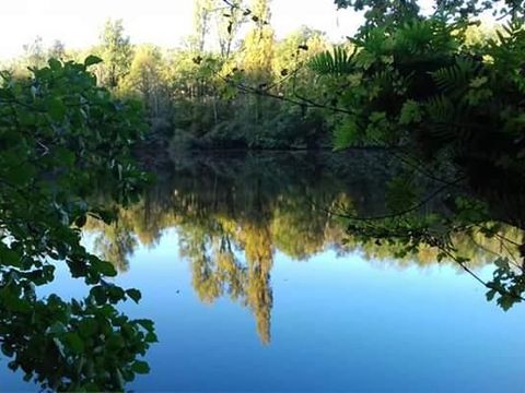 Flower Camping De la Plage - Camping Lot - Image N°83