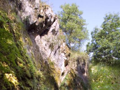 Flower Camping De la Plage - Camping Lot - Image N°65