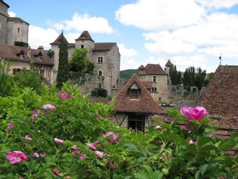 Flower Camping De la Plage - Camping Lot - Image N°83