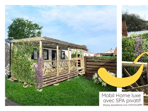 MOBILHOME 4 personnes - Cottage Luxe Dinos 3 Pièces 4 Personnes Climatisé + TV