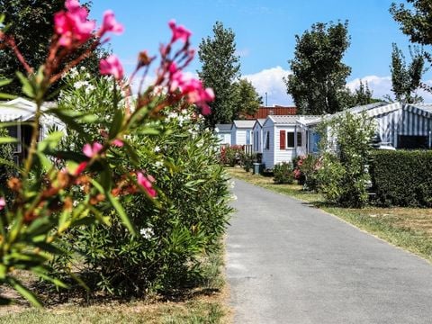 Camping Les Dinosaures - Camping Vendée - Image N°60