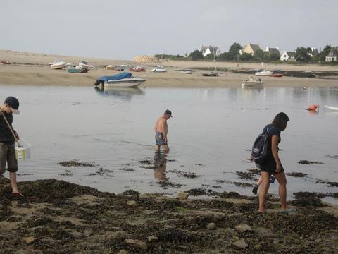 Camping De La Plage à Benodet - Camping Finistère - Image N°75