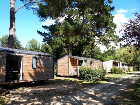 Camping De La Plage  - Camping Finistere - Image N°18