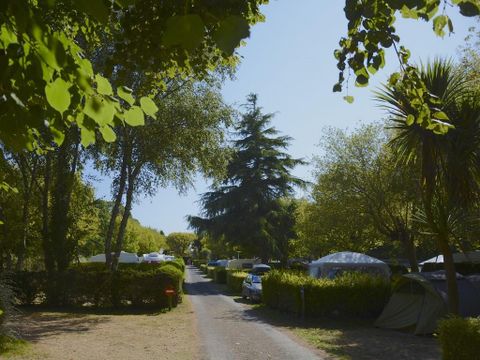 Camping De La Plage à Benodet - Camping Finistère - Image N°48