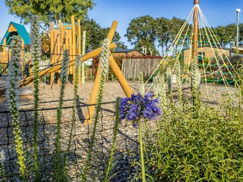 Flower Camping Domaine de Pendruc  - Camping Finistère - Image N°23