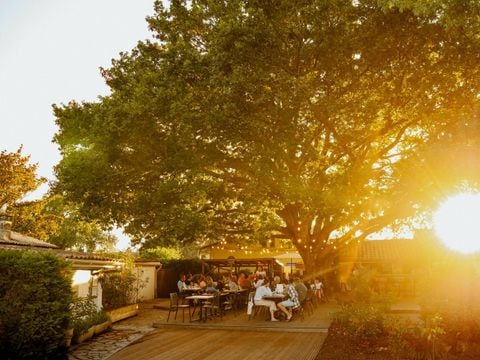 Camping Ushuaïa Villages La Maïade - Camping Landes - Image N°2