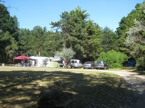 Camping Parc du Guibel - Camping Loire-Atlantique - Image N°15