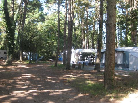Camping Parc du Guibel - Camping Loire-Atlantique - Image N°17