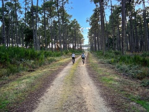 Camping Lou Payou - Camping Landes - Image N°12
