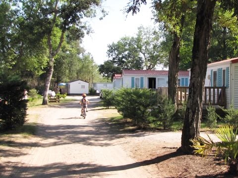 Camping Lou Payou - Camping Landes - Image N°4