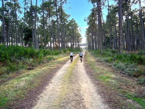 Camping Lou Payou - Camping Landes - Image N°15