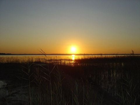 Camping Lou Payou - Camping Landas - Image N°5