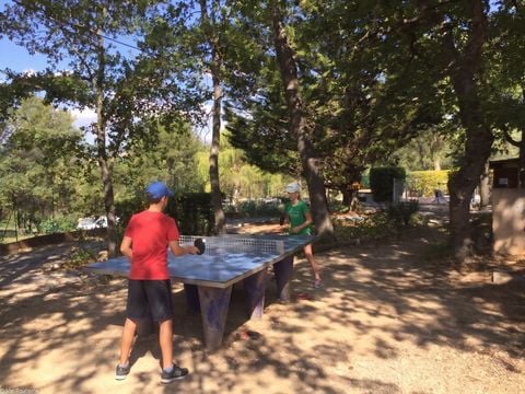 Camping le Domaine de Chanteraine   - Camping Var - Image N°22
