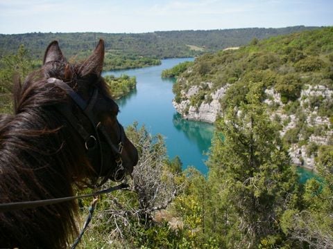 Camping le Domaine de Chanteraine   - Camping Var - Image N°29