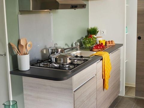 MOBILHOME 10 personnes - TRIBU  (2 locations face à face avec terrasse commune)