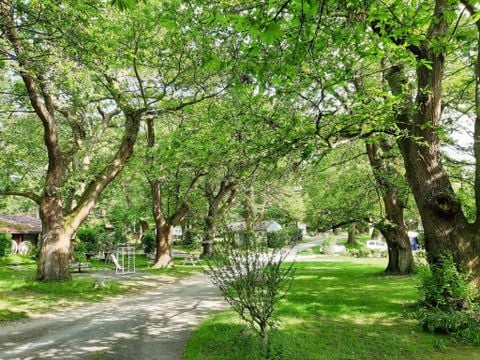 Camping Le Rural - Camping Hautes-Pyrénées - Afbeelding N°5