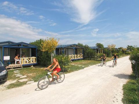 Camping Les Sources - Camping Vaucluse - Image N°19
