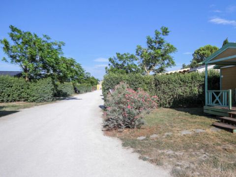 Camping Les Sources - Camping Vaucluse - Image N°18