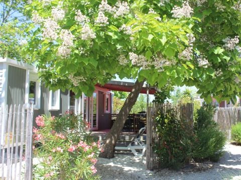 MOBILHOME 6 personnes - Cottage Premium - 3 chambres - 2 salles de bains - Draps, serviettes, plancha, forfait ménage inclus
