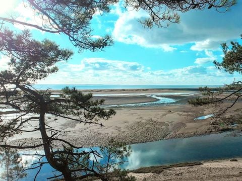 Camping La Siesta  - Camping Vendée - Image N°42