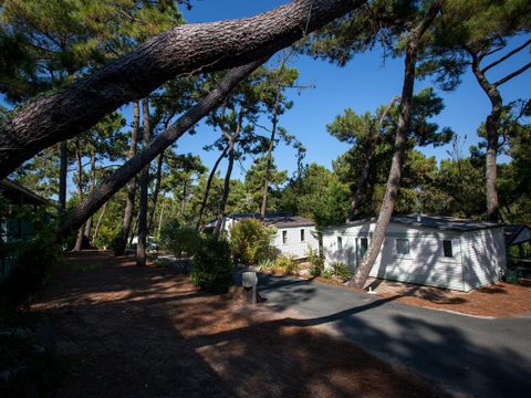 Camping La Siesta  - Camping Vendée - Image N°43