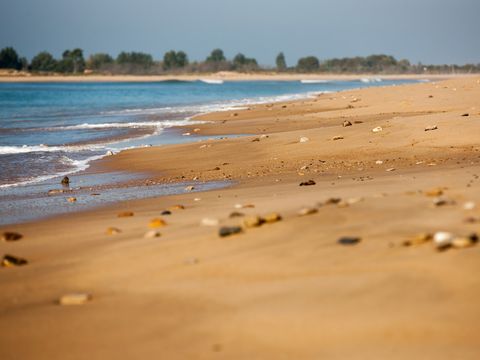 Camping La Siesta  - Camping Vendée - Image N°41