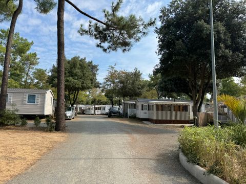 Camping Les Genêts - Camping Vendée - Image N°97
