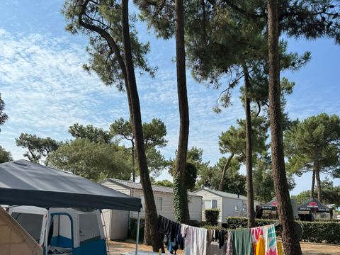 Camping Les Genêts - Camping Vendée - Image N°86