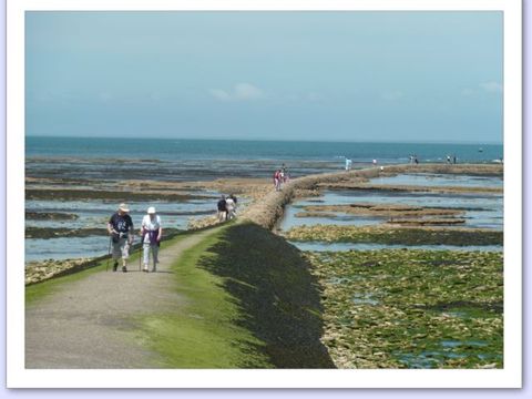 Camping Les Pérouses du Phare - Camping Charente-Maritime - Image N°15