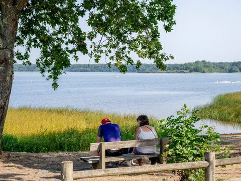 Camping Rivages des Landes - Camping Landes - Image N°8