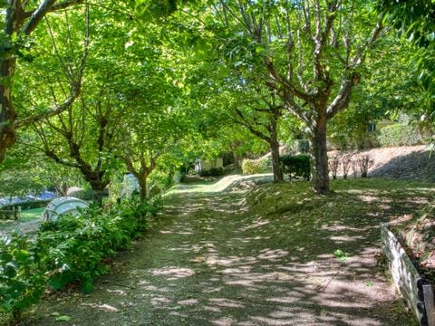 Camping La Bastide - Camping Dordogne - Image N°35