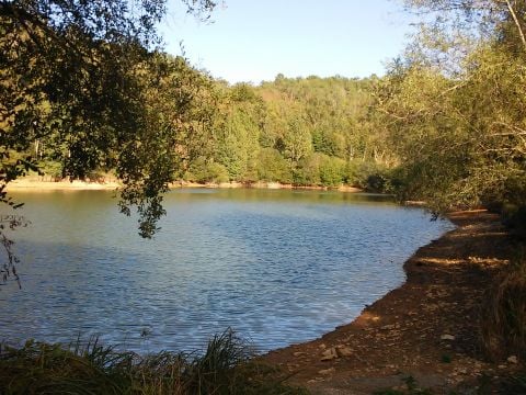 Camping La Bastide - Camping Dordogne - Image N°4