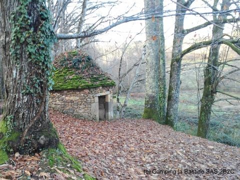 Camping La Bastide - Camping Dordogne - Image N°7