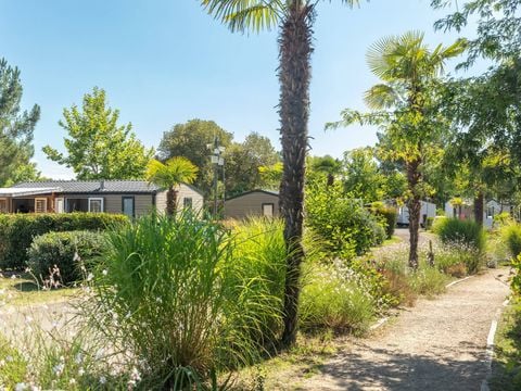 Camping Les Vignes - Camping Landas - Image N°8