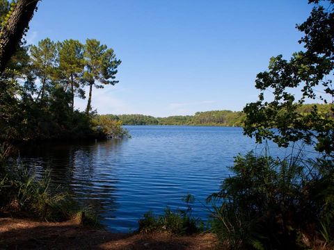 Camping Les Vignes - Camping Landes - Image N°27