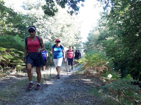 Camping Les Vignes - Camping Landes - Image N°17
