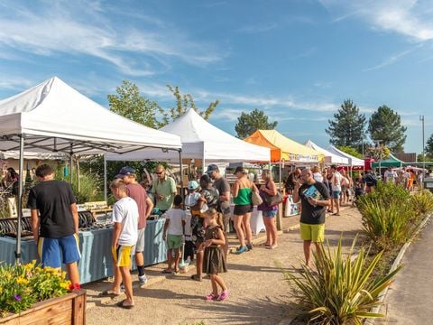 Camping Les Vignes - Camping Landas - Image N°22