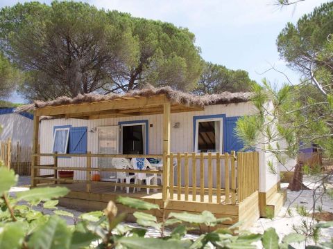 Bungalow 8 personnes - Thèmes - TV - CLIM - WIFI